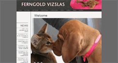 Desktop Screenshot of ferngoldvizslas.com