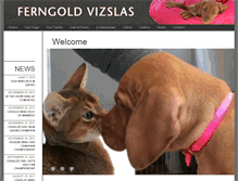 Tablet Screenshot of ferngoldvizslas.com